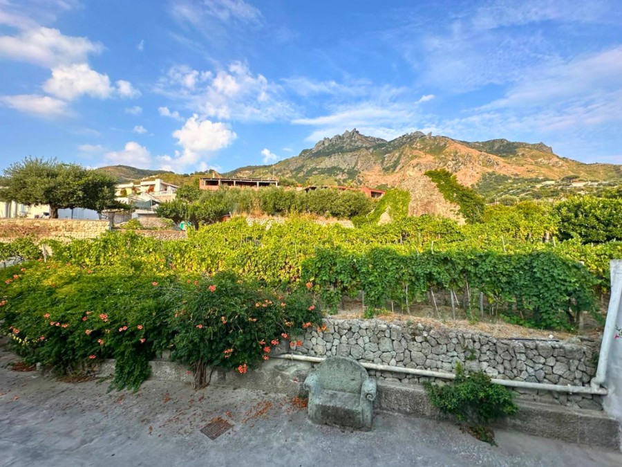 Il Vitigno di Dioniso Agriresort