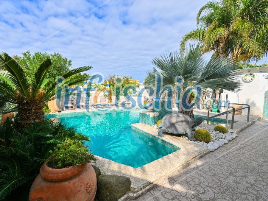 Mini Tour Enjoy Ischia