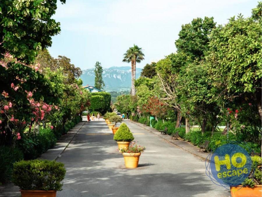 Ah Forte Club Scalea