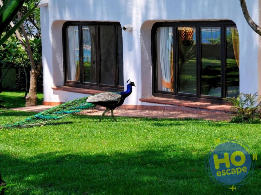 Arbatax Park Resort - Le Ville del Parco 