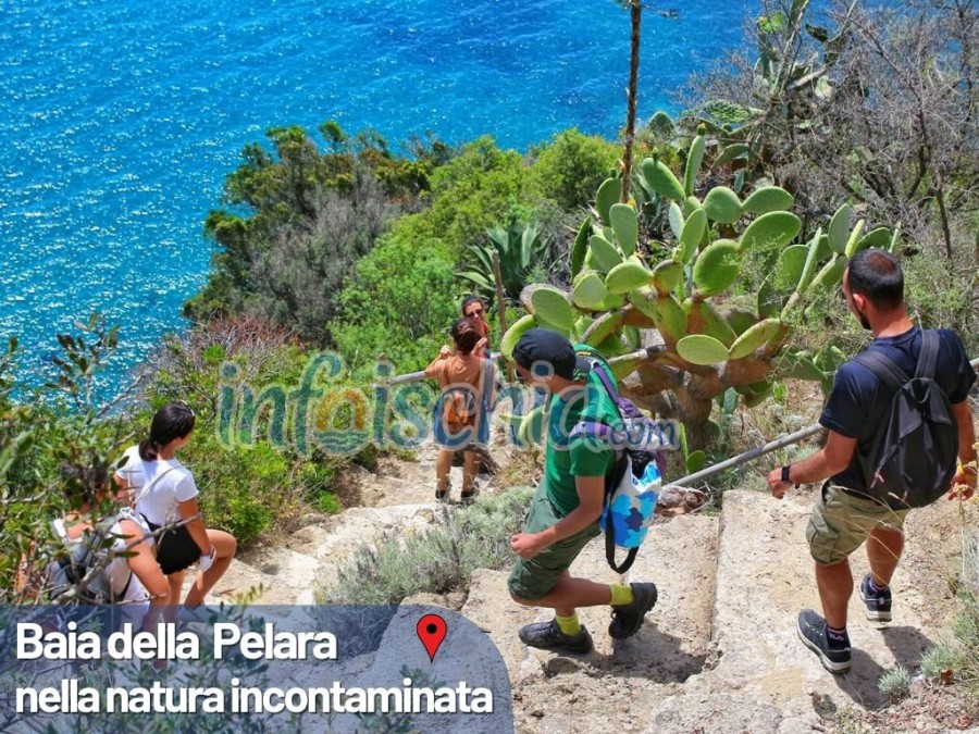 Ischia Trekking Experience