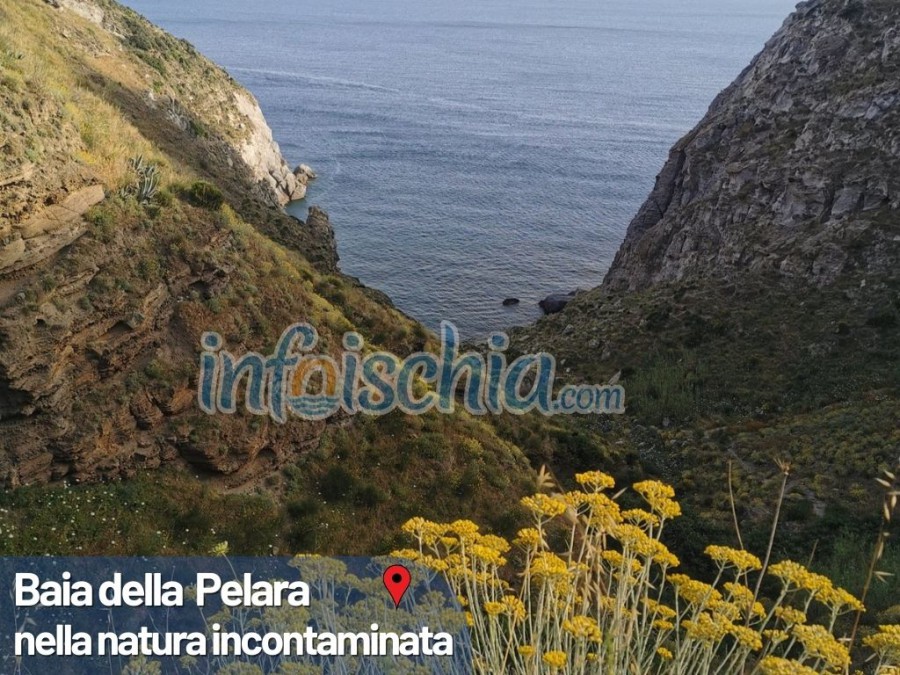 Ischia Trekking Experience