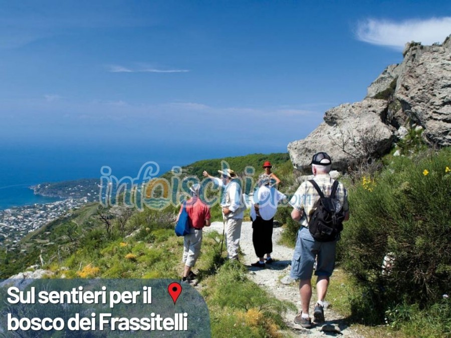 Ischia Trekking Experience