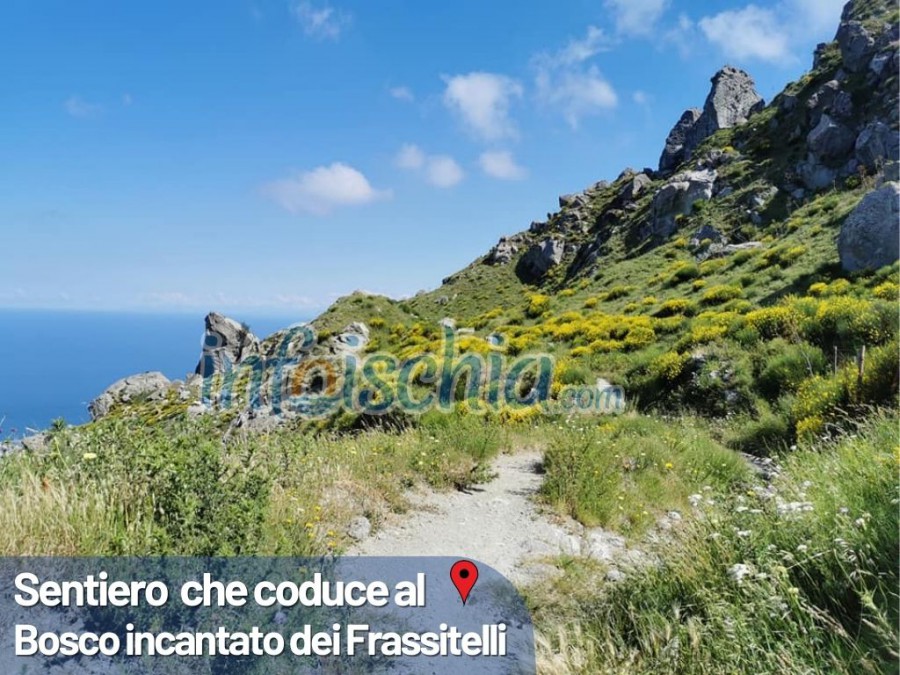 Ischia Trekking Experience