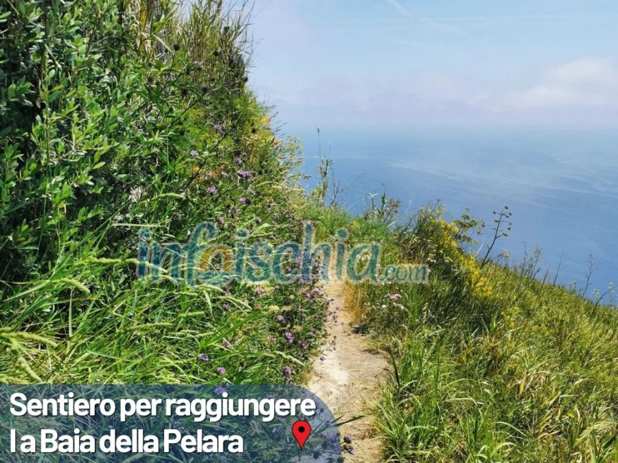 Ischia Trekking Experience