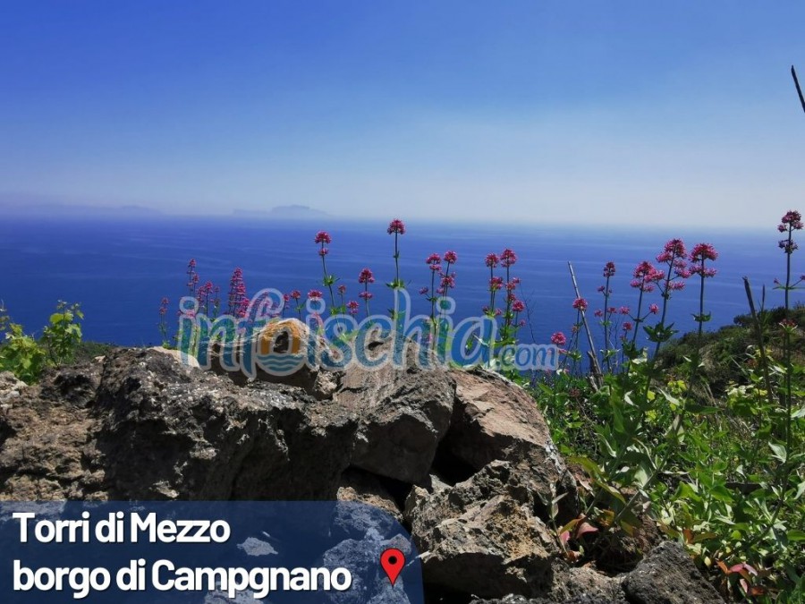 Ischia Trekking Experience