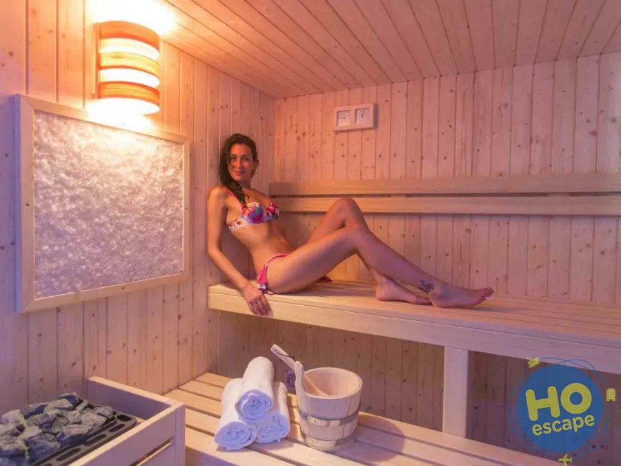 Hotel Eden Park Sauna