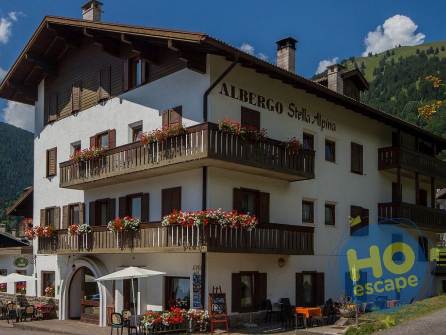 Hotel Stella Alpina