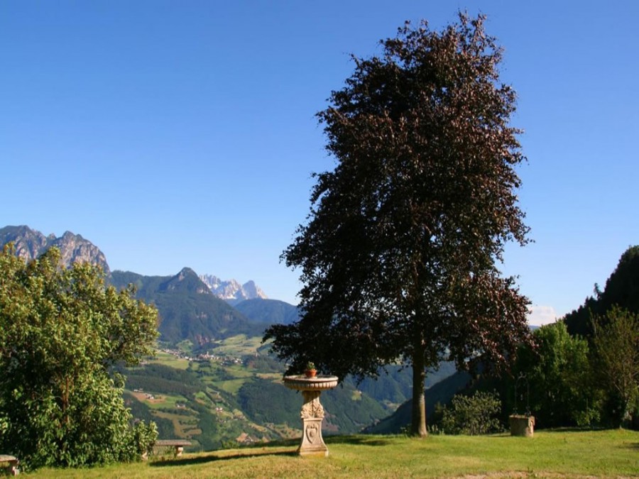 Hotel Naturhotel Wieserhof