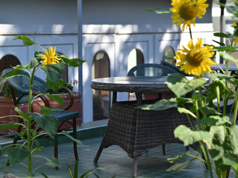 Ischia Porto 4 Stelle